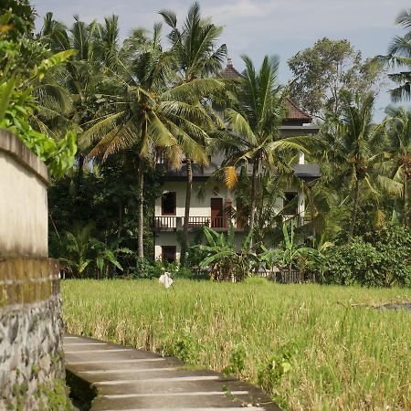 Eden House Ubud Exteriér fotografie