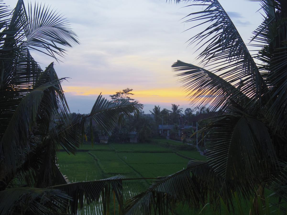 Eden House Ubud Exteriér fotografie