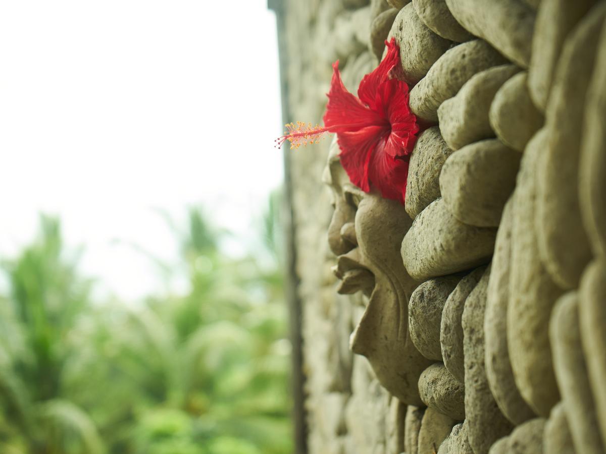 Eden House Ubud Exteriér fotografie